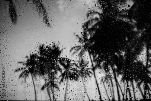 Quadro em tela Rainy weather on tropical island glass with raindrops and palm trees