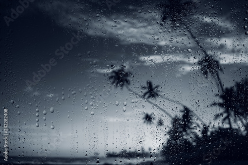 Rain on tropical island beach. Water drops on the glass and dark palm tree silhouettes.