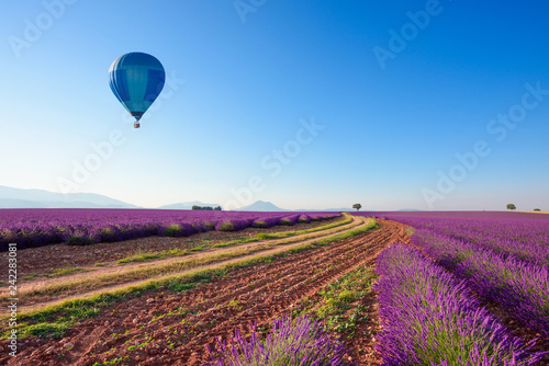 Road in lavender fields in Provence South France with hot air balloon at sunny summer morning