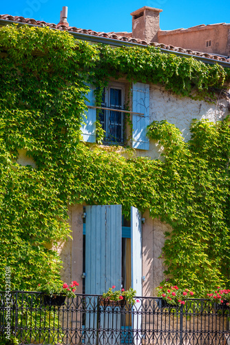 Beautiful south mediterranean house facade in green ivy photo