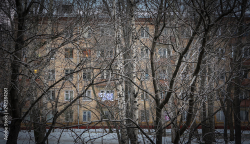 Wallpaper Mural view of a residential building through winter trees Torontodigital.ca