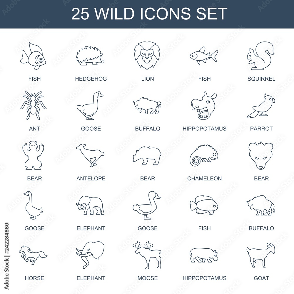 wild icons