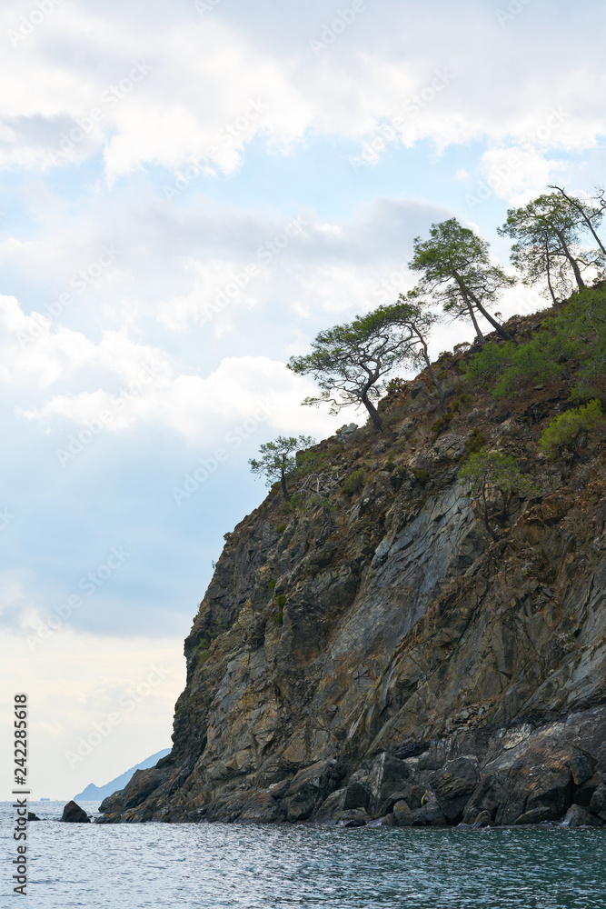Naklejka premium Trees, Rock and Sea