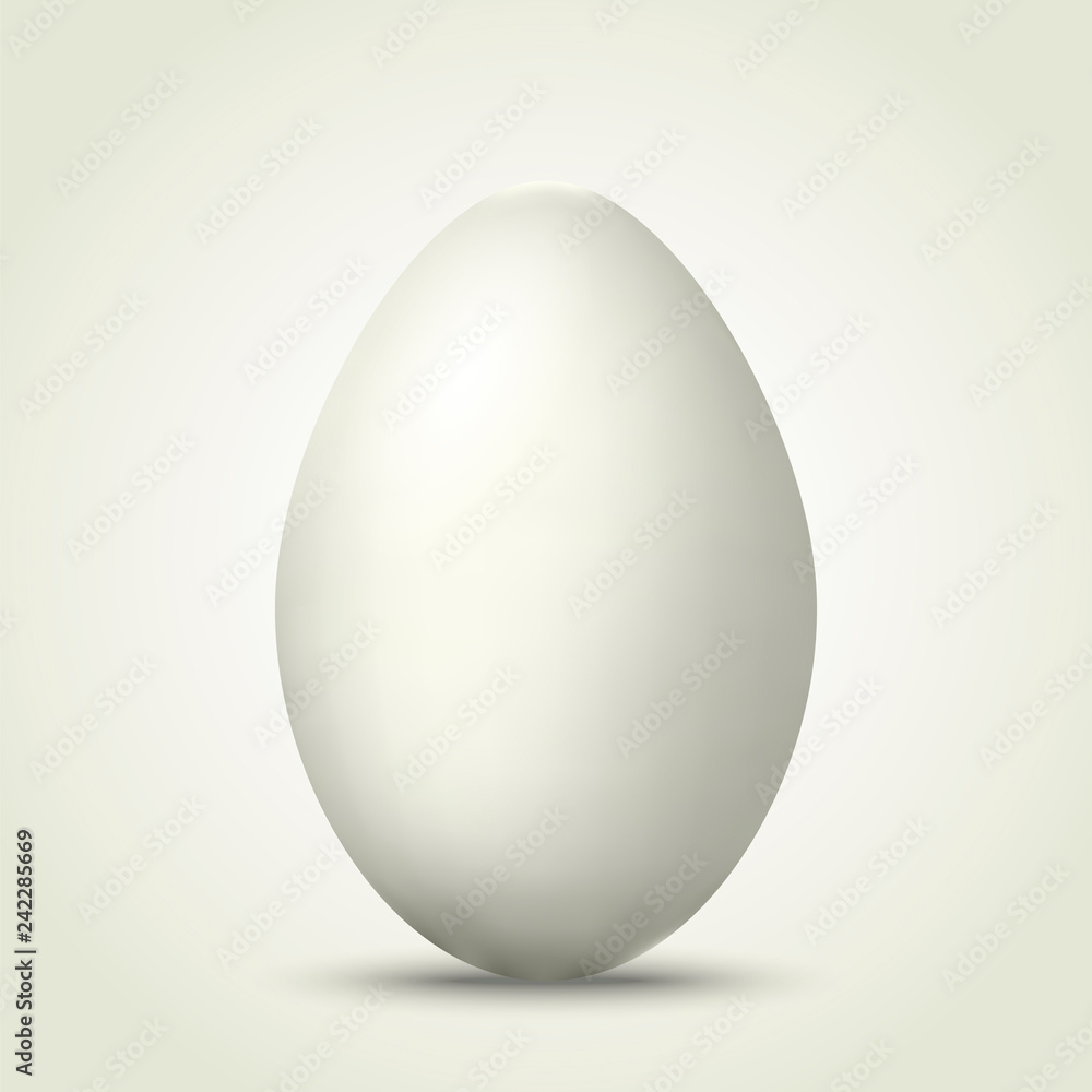 Chicken egg. Realistic vector illustration of food. Chicken egg. Realistic vector illustration of food.