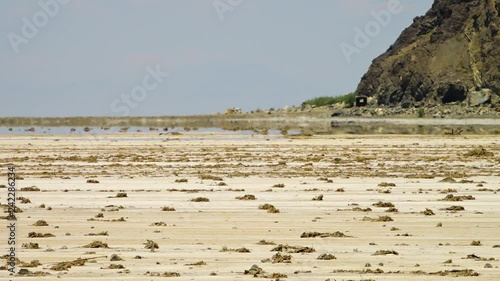 Landscape shot of the Great Salt Desert, Iran shimmering with heat haze.