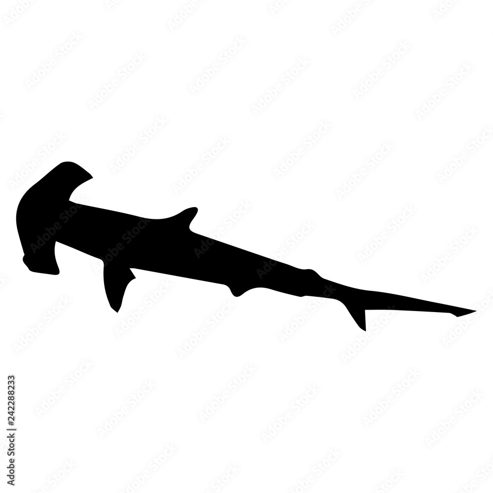 black silhouette shark