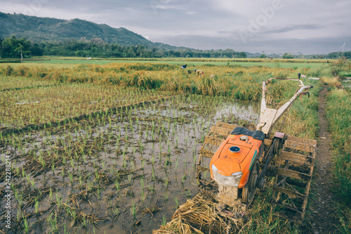 plow machine tractor at paddy rice plantation fields