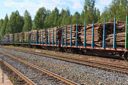 Tree cargo in train at summer day