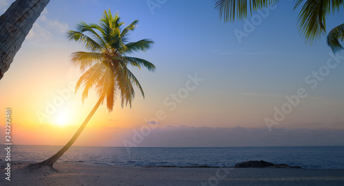 Sztuka Piękny wschód słońca nad tropikalną plażą