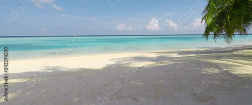 Tropical Maldives beach with coconut palm trees and blue sky. © Swetlana Wall