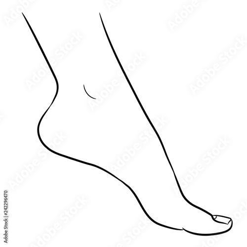 Foot female from the contour black brush lines on white background. Vector illustration.