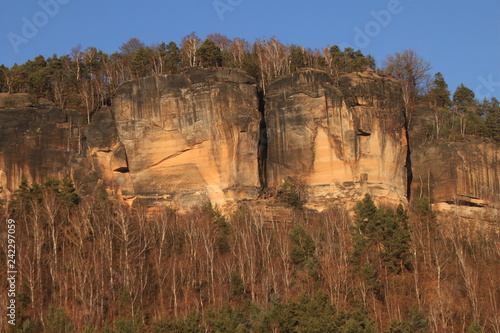 Sandsteinfelsen oberhalb von Postelwitz an der Elbe photo