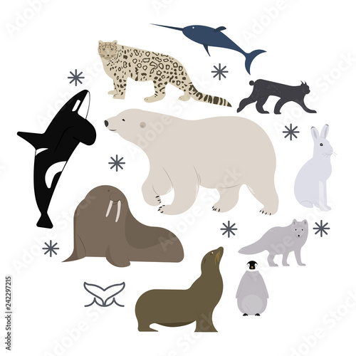 Greenland and arctic wild polar animals clip art. White bear, narwhal, bearded seal, walrus, fox, rabbit, snowshoe hare, arctic snow cat. Set of cute cartoon characters vector illustration.