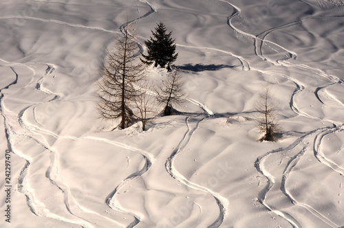 Traces of skiers and snowboarders on white snow in the mountains of south tyrol in Italy. photo