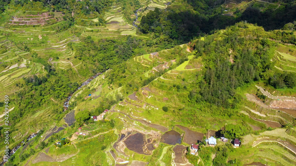 rice terraces in aerial view, Philippines rice terraces in aerial view, Philippines