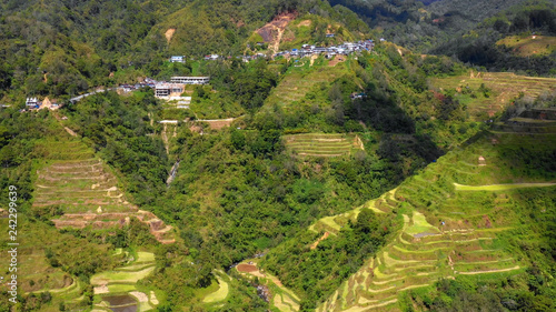 rice terraces in aerial view, Philippines © Fly_and_Dive
