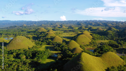 chocolate hill in aerial view, Bohol Philippines photo