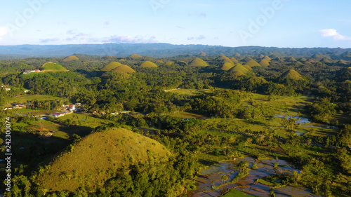 Fototapeta Naklejka Na Ścianę i Meble -  chocolate hill in aerial view, Bohol Philippines