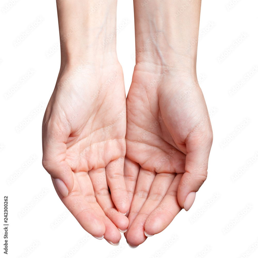 Open female hands, isolated on white background Open female hands, isolated on white background