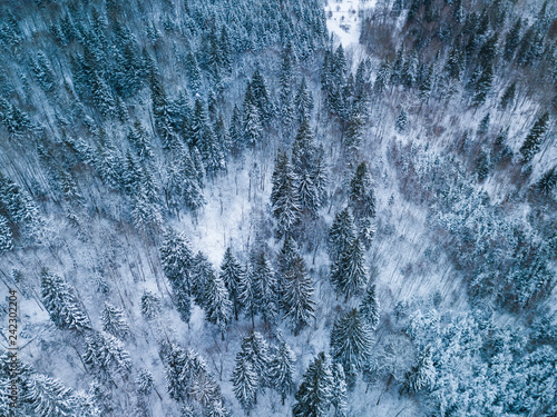 Background texture of a frozen forest at winter  aerial shot