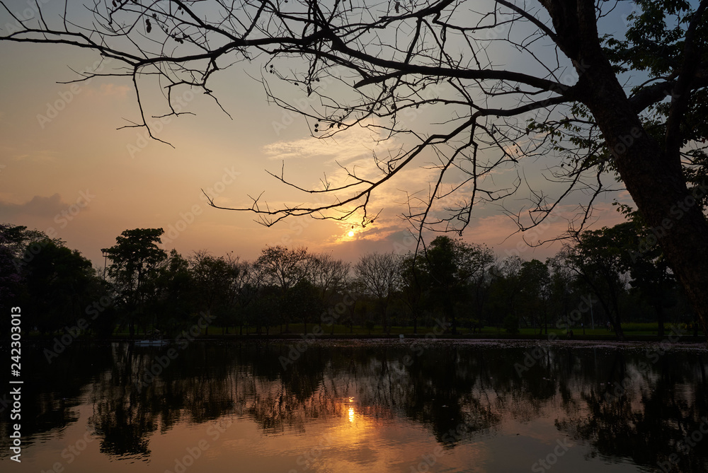 Background of beautiful sunset in the park Background of beautiful sunset in the park