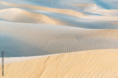 Fototapeta Naklejka Na Ścianę i Meble -  Beautiful sand dune in Thar desert, Jaisalmer, Rajasthan, India.