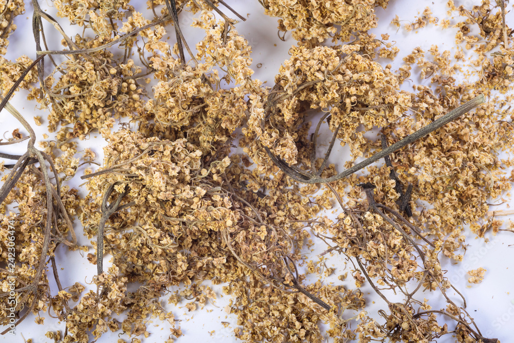 Fototapeta premium Dry healing tea. Close-up