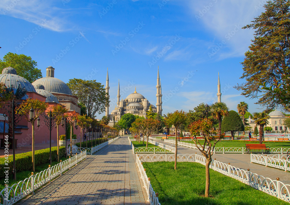 Naklejka premium Blue Mosque in Istanbul at sunrise. Turkey