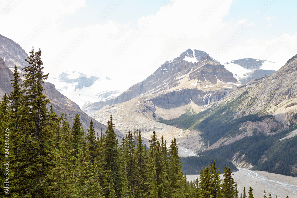 Fototapeta premium River Running Through Wooded Valley Between Snowy Mountains In Alaska