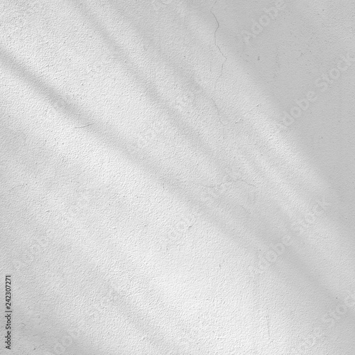 Wallpaper Mural shadow of branches and leaves on a white wall Torontodigital.ca