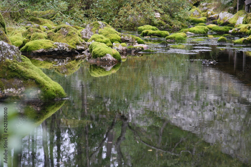A stream flowing through rocks covered with moss in Lapland Finland A stream flowing through rocks covered with moss in Lapland Finland