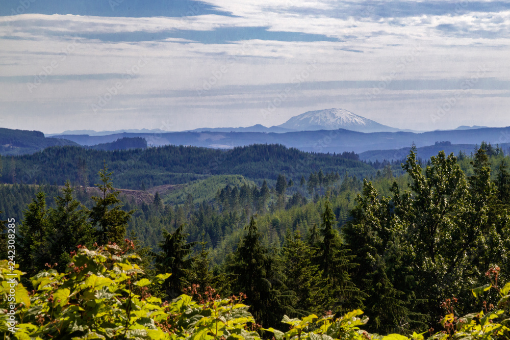 Distant Cascade Mountains Oregon USA
