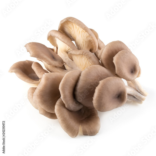 Oyster mushrooms for cooking isolated over white background
