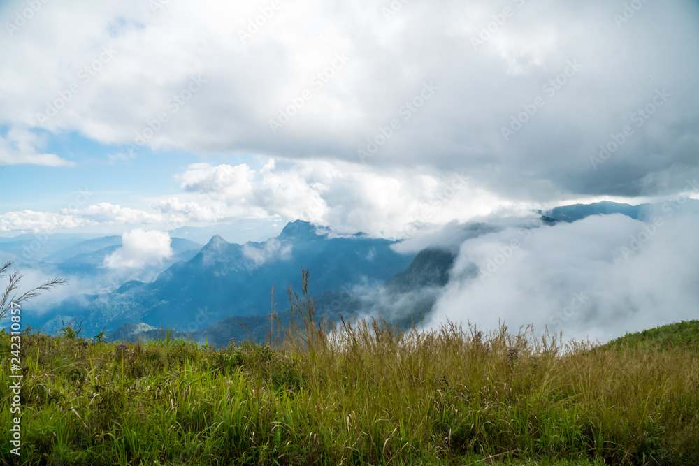 Fototapeta premium mountain peak on the time of thick fog
