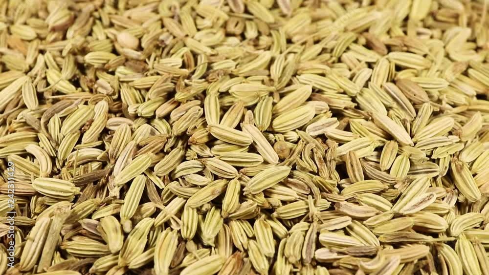 dill seeds rotate, the concept of seasoning, healthy food. dill seeds rotate, the concept of seasoning, healthy food.