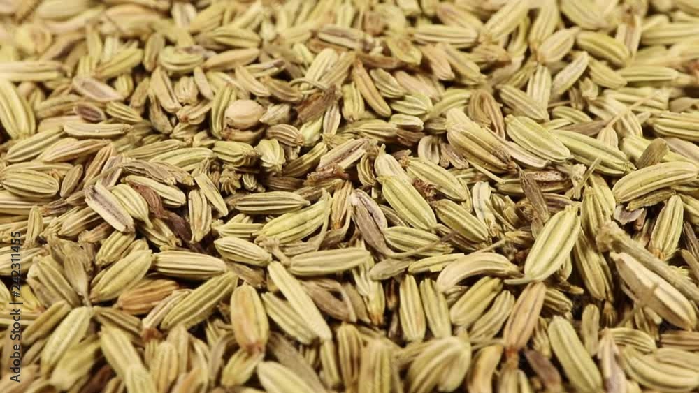 dill seeds rotate, the concept of seasoning, healthy food. dill seeds rotate, the concept of seasoning, healthy food.