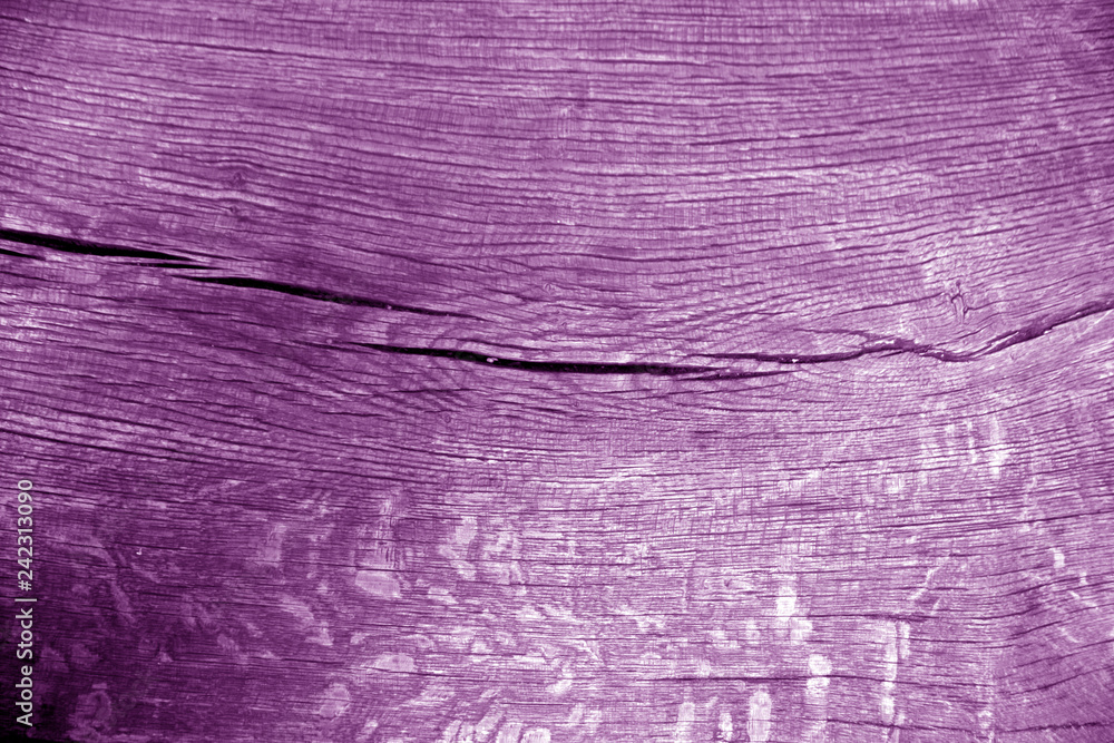 Old log cut macro in purple color.