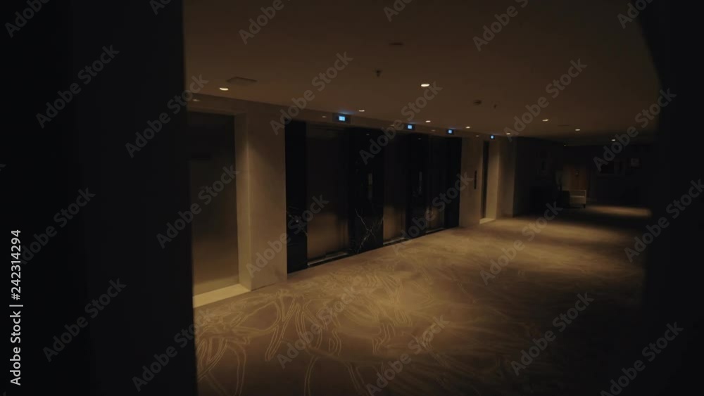 Speed-up shot of walking through the hotel hallway in dim light and pressing the button for the lift Speed-up shot of walking through the hotel hallway in dim light and pressing the button for the lift