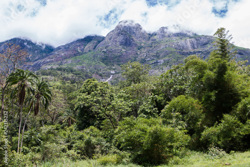 Konstfotografi Cloudy sky over Mount Mulanje with the forest at the foot of the mountain