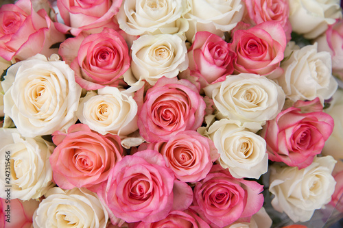Background of pink and white roses.