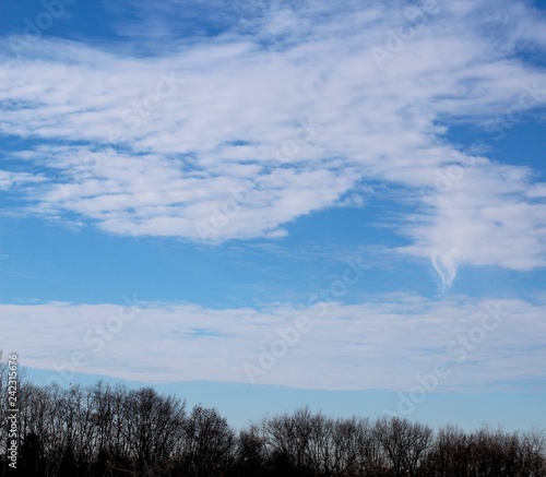 The white cloudscape in the blue sky over top of trees. © Al