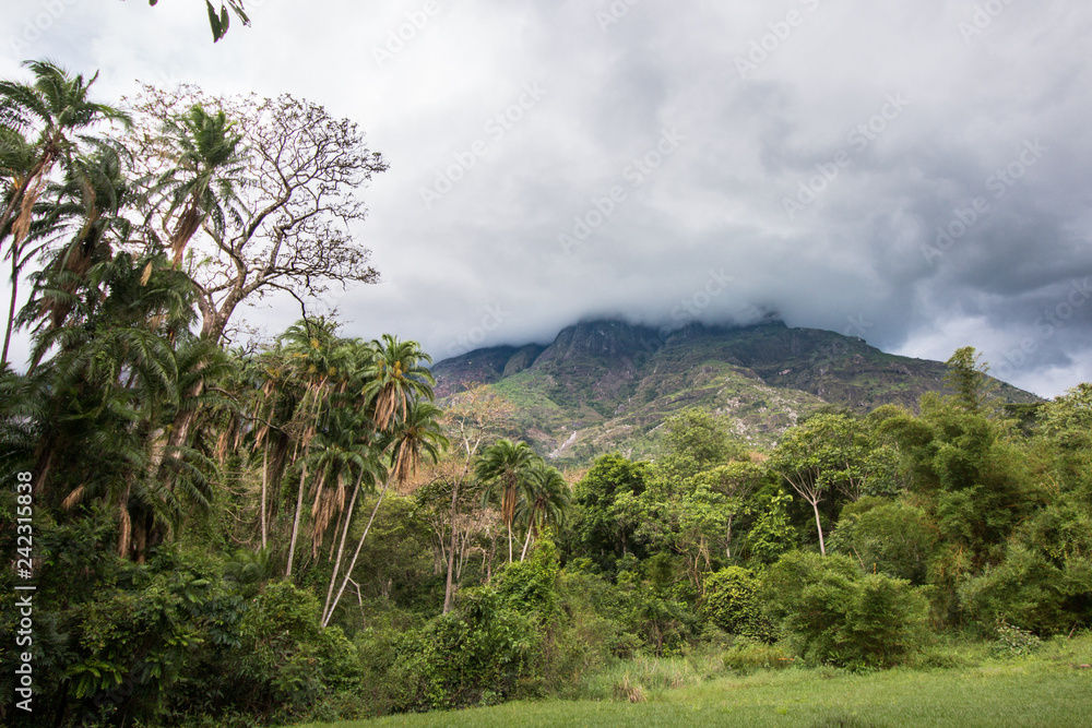 Cloudy sky over Mount Mulanje with the forest at the foot of the mountain.