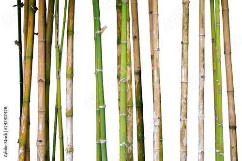 real bamboo