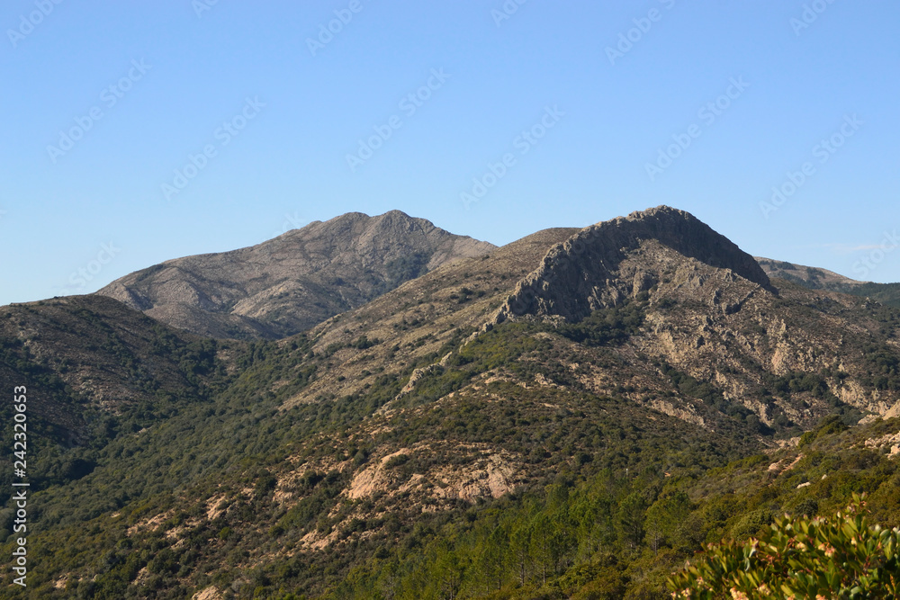 Vista di Monte Murumannu