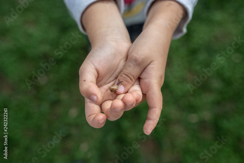 Tiny snail crawling on a finger of a toddler © Gajus