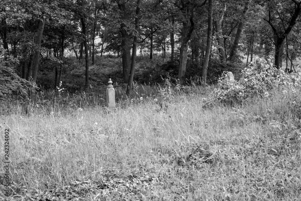 Black And White Cemetery. Single tombstone in an overgrown cemetery with copy space.