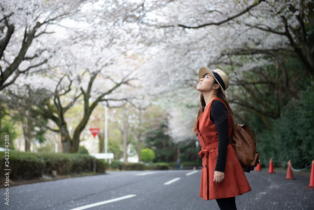 Φωτογραφία Young Asian beautiful woman is enjoy and smile when traveling in Japan during Spring Cherry Blossom
