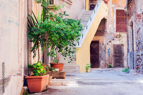 Bench and plants in tubs in the courtyard of the house in Catania  Sicily  Italy.