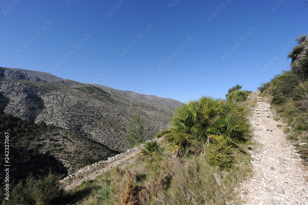 track in the mountains, an historic Mozarab trail near Benimaurell in the Vall de Laguart, Alicante Province, Spain track in the mountains, an historic Mozarab trail near Benimaurell in the Vall de Laguart, Alicante Province, Spain