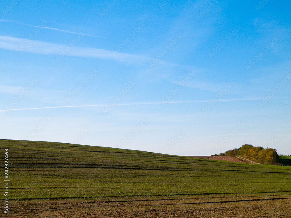 Green field on a background of blue sky